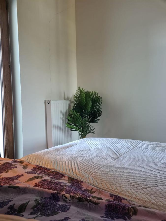 Venice Villa Apartment, Self Check-In 24H, Free Parking Poznań Eksteriør bilde